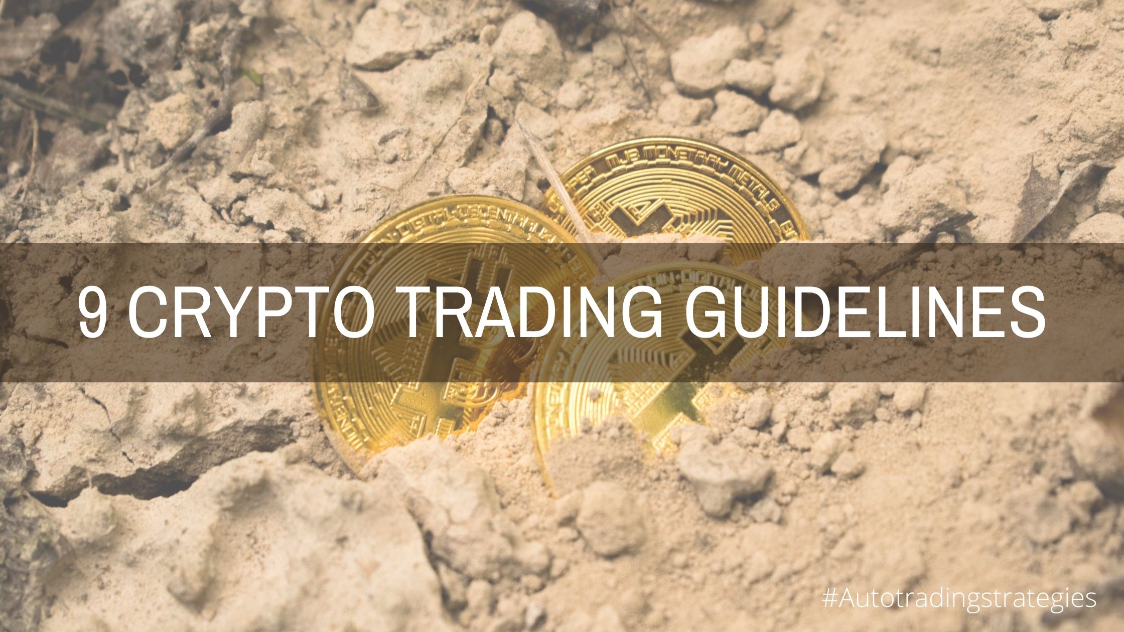 Crypto traders