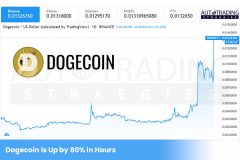 Dogecoin is Up by 80% in a Few Hours