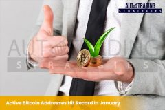 Active Bitcoin Addresses Hit Record In January