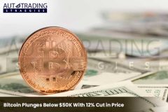 Bitcoin Plunges Below $50K With 12% Cut in Price