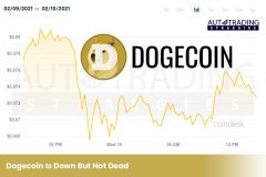 Dogecoin Is Down But Not Dead