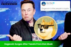 Dogecoin Surges 50% After Tweets From Elon Musk