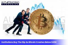 Institutions Buy The Dip As Bitcoin Crashes Below $45K