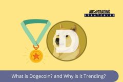 Dogecoin is Everywhere on Dogeday