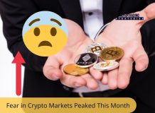 Fear in Crypto Markets Peaked This Month