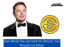 Elon Musk Has not Sold His Bitcoin, You Should not Either