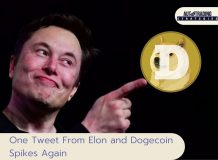 One Tweet From Elon and Dogecoin Spikes Again