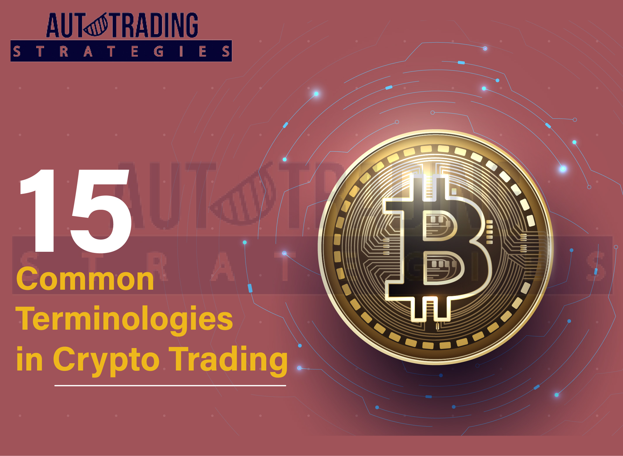 Common Terms in Crypto Trading