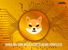 SHIBA INU Coin Rises Despite Being Pointless