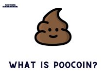 What is the PooCoin Platform?<