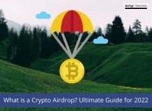 What is a Crypto Airdrop? Ultimate Guide for 2022<
